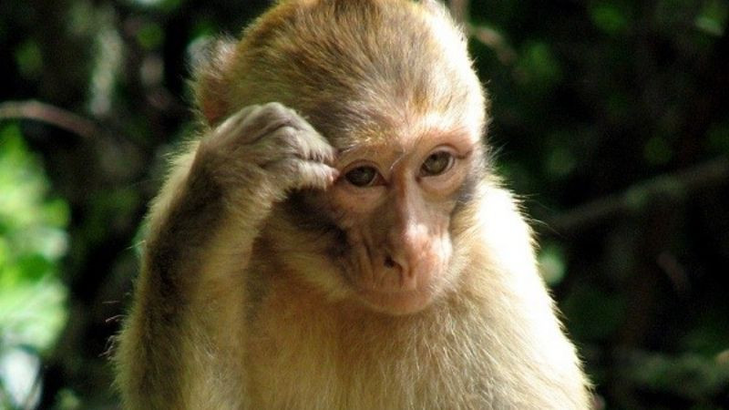 Hình ảnh nhóm người đang trò chuyện vui vẻ, thể hiện tính cách hòa đồng của tuổi Mậu Thân