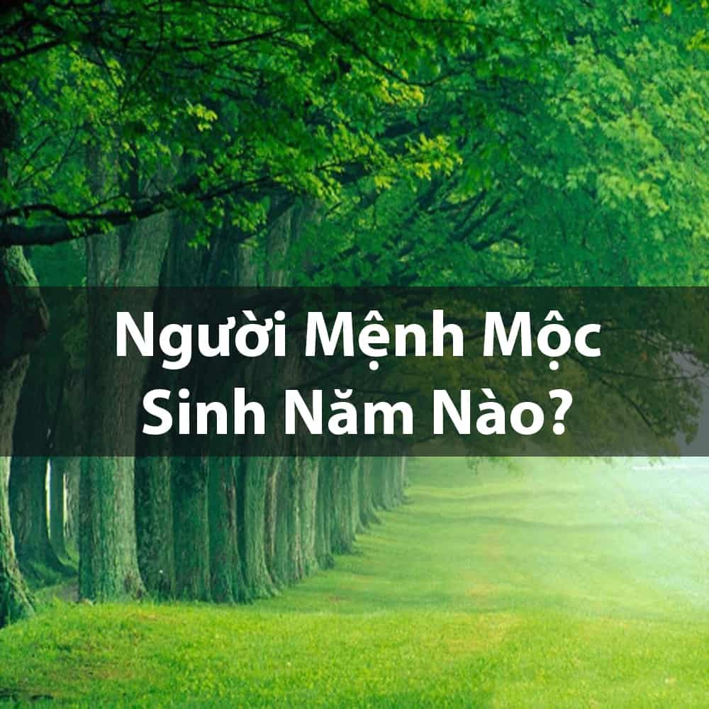 Hình ảnh những người sinh năm Nhâm Ngọ và Quý Mùi thuộc mệnh Dương Liễu Mộc