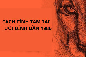 Hình ảnh thể hiện sự ảnh hưởng của hạn Tam Tai lên vận trình năm của tuổi Bính Dần