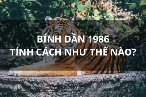 Hình ảnh thể hiện sự quyết đoán và ý chí mạnh mẽ của tuổi Bính Dần 1986