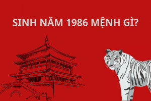 Hình ảnh tượng trưng cho ngọn lửa tôi luyện trong lò rèn của mệnh Lư Trung Hỏa