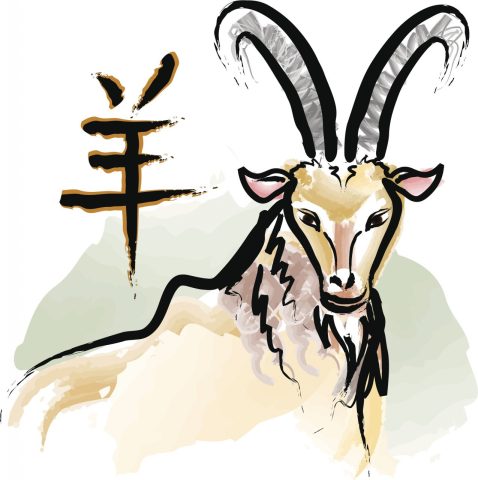 Hình ảnh tượng trưng cho người tuổi Mùi hiền lành, giàu tình cảm và có gu thẩm mỹ tinh tế