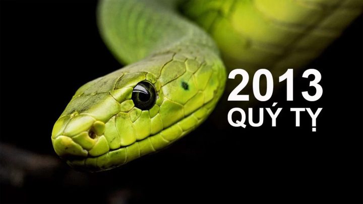 Hình ảnh tượng trưng cho tuổi Quý Dậu 2013