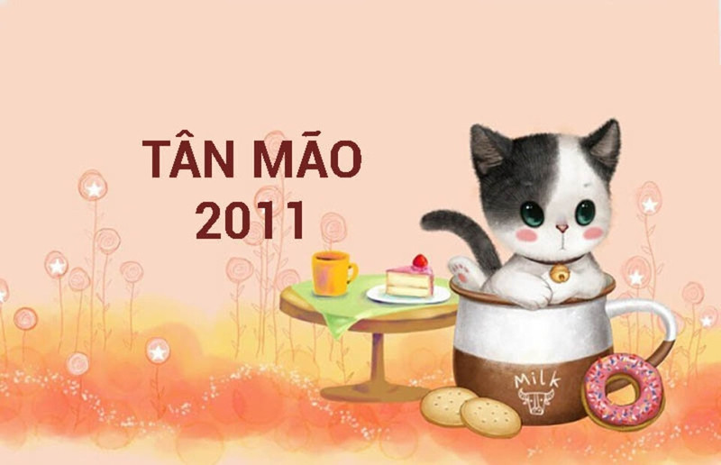 Hình ảnh về hướng nhà hợp phong thủy cho tuổi Tân Mão