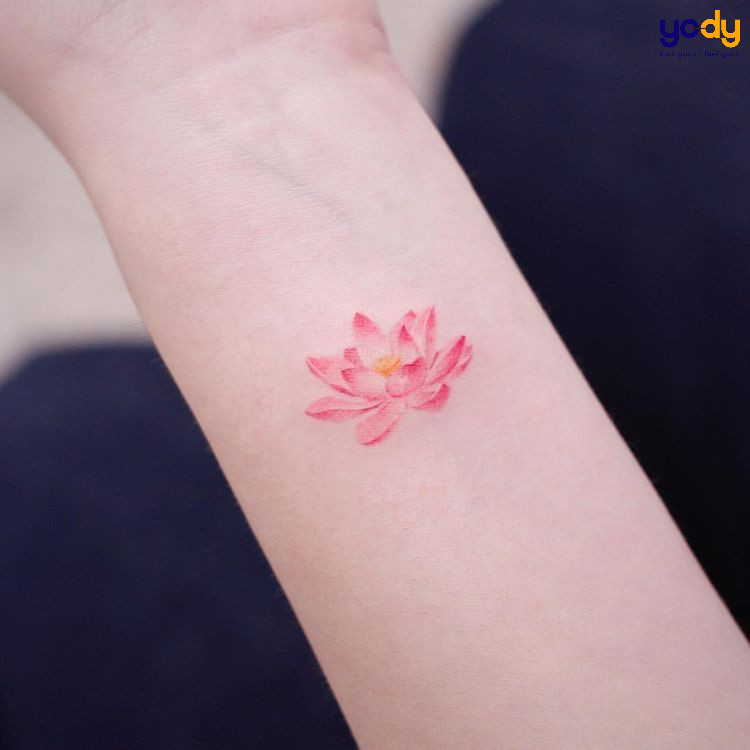 Hình xăm hoa sen màu đỏ trên cánh tay