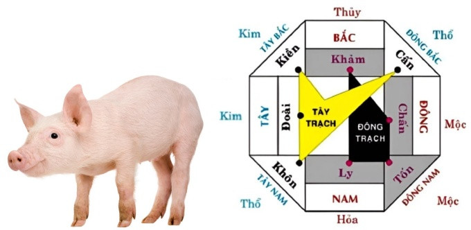 Hướng nhà hợp phong thủy cho người sinh năm 2007