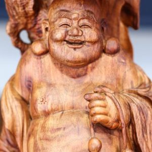 Di lạc đứng dưới gốc cây tùng gỗ sưa