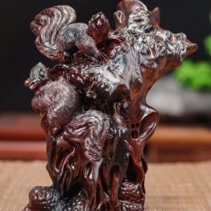 Song sóc gỗ trắc