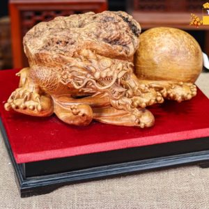 Long quy gỗ nu hương