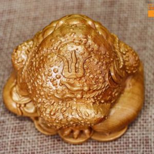Thiềm thử mini