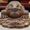 Thiềm thừ gỗ mun đuôi công Thiềm thừ gỗ mun đuôi công