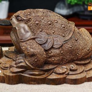 Thiềm thừ gỗ mun đuôi công