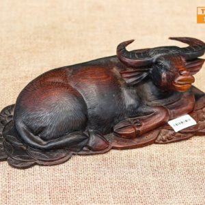 Trâu gỗ trắc