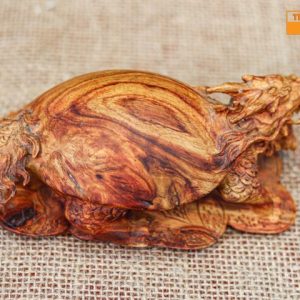 Long quy gỗ sưa