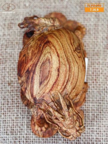 Long quy gỗ sưa
