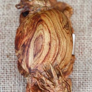Long quy gỗ sưa