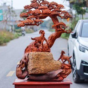 Tam Dương Khai Thái Ôm Đá Gỗ Hương