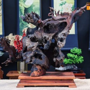 Đạt Ma Hàng Long Gỗ Trắc