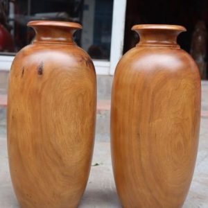 Lục Bình Bách Xanh