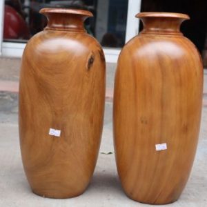 Lục Bình Bách Xanh