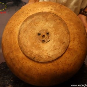 Chum Phú Quý Nu Ngọc Am