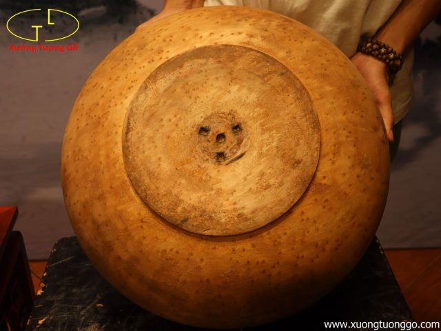 Chum Phú Quý Nu Ngọc Am