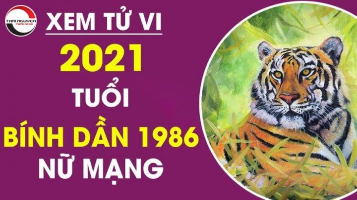 tử vi Bính Dần 1986 năm 2021 nam nữ