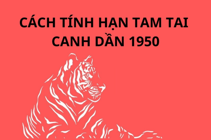 Lựa chọn màu sắc hợp phong thủy cho người sinh năm 1950