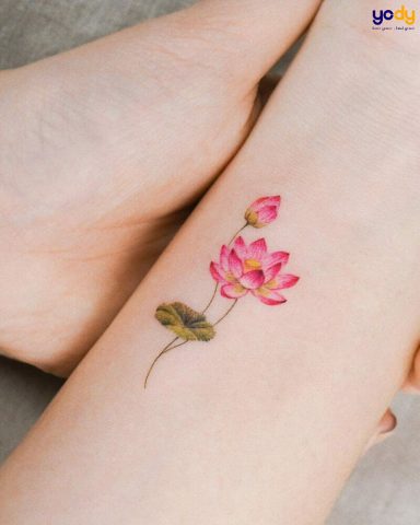 Mẫu hình xăm hoa sen nhiều màu sắc trên cánh tay
