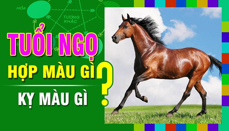 Màu sắc đóng vai trò quan trọng trong việc điều hòa năng lượng cá nhân