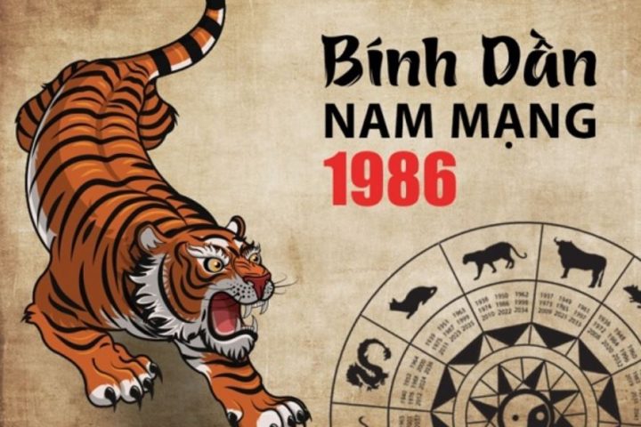 tử vi tuổi Dần 1986 năm 2021 tổng quan