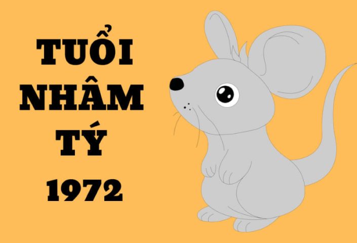 Tử Vi Tuổi Nhâm Tý 1972 Nam Mạng Năm 2023 Chi Tiết Nhất