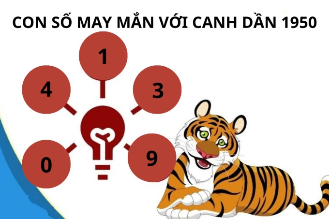 Người sinh năm 1950 nên lựa chọn con số nào