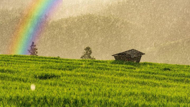 Người sinh năm 1967 mang mệnh Thủy