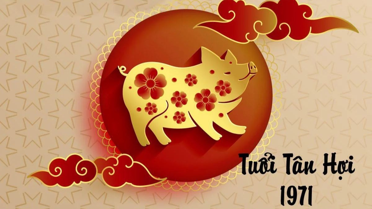 Người sinh năm 1971 là tuổi Tân Hợi, con Lợn