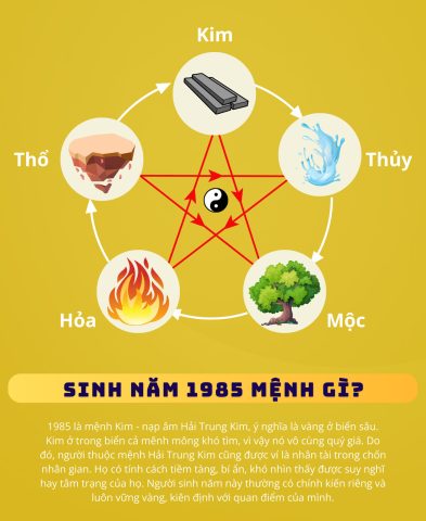 Người tuổi Ất Sửu sinh năm 1985 mang mệnh Hải Trung Kim, tượng trưng cho vàng quý dưới biển sâu