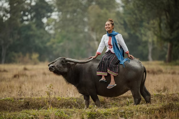 Nữ Ất Sửu 1985 với tâm hồn lãng mạn và biết yêu thương gia đình