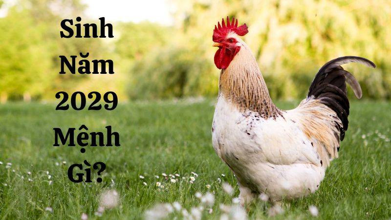 Phân tích cung mệnh theo giới tính cho người tuổi Kỷ Dậu