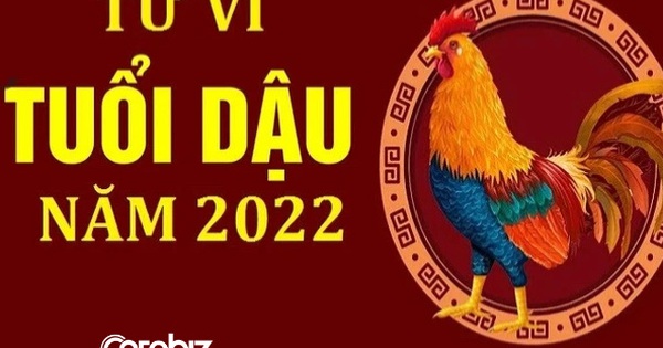 Tử vi tuổi Tân Dậu năm 2022 nam mạng: Luận giải chi tiết vận trình, tài lộc và phong thủy