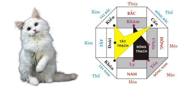 Sơ đồ các hướng nhà hợp và kỵ cho người tuổi Kỹ Mão