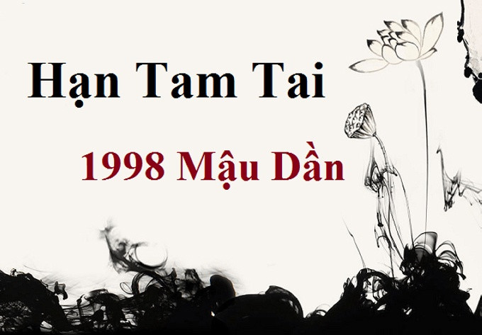 Sơ đồ minh họa chu kỳ Tam Tai cho các nhóm tuổi
