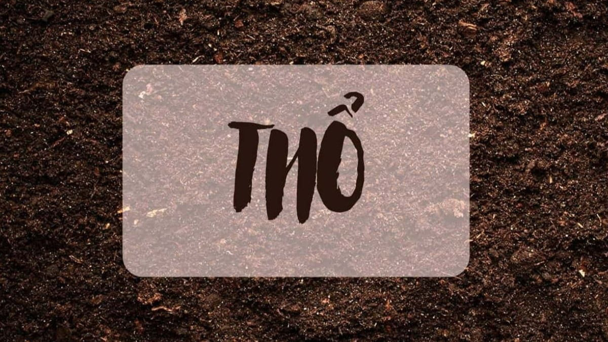 Tâm tính và tố chất của người tuổi Bính Thìn