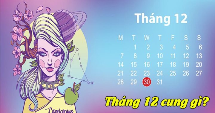 Tháng 12 là cung hoàng đạo gì? Giải mã tính cách, tình yêu & sự nghiệp người sinh tháng 12