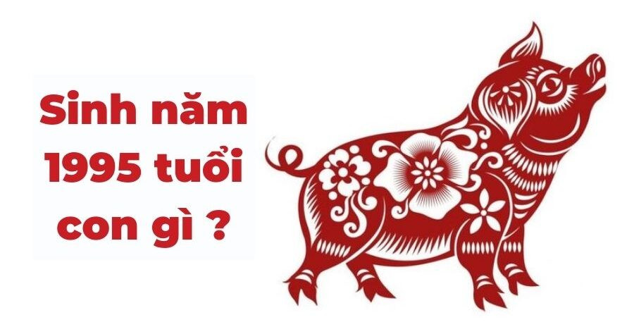 Thời gian xác định người sinh năm 1995 thuộc tuổi con gì