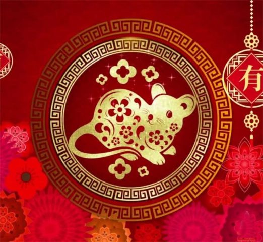 Tử vi tuổi Tý