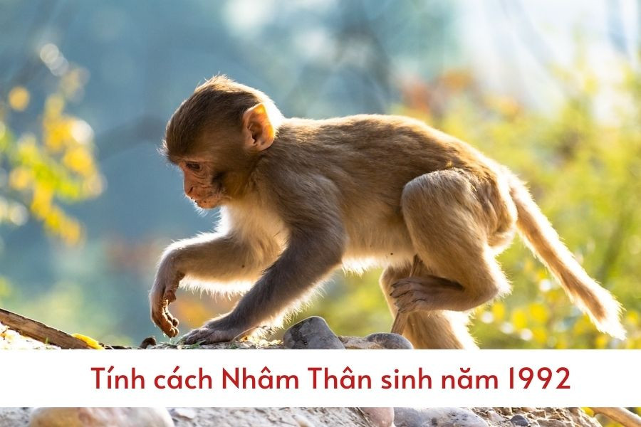 Tính cách của người tuổi Nhâm Thân 1992 thể hiện qua sự mạnh mẽ và quyết đoán