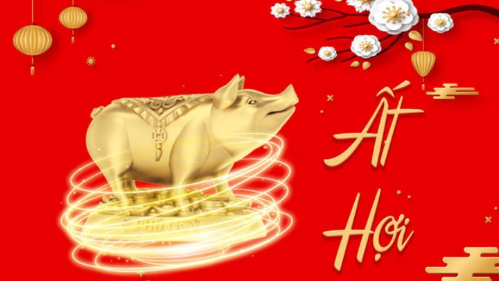 Tổng quan về tuổi Ất Hợi 1995 trong phong thủy