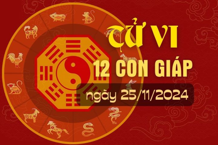 Tử vi ngày 25/11 12 con giáp