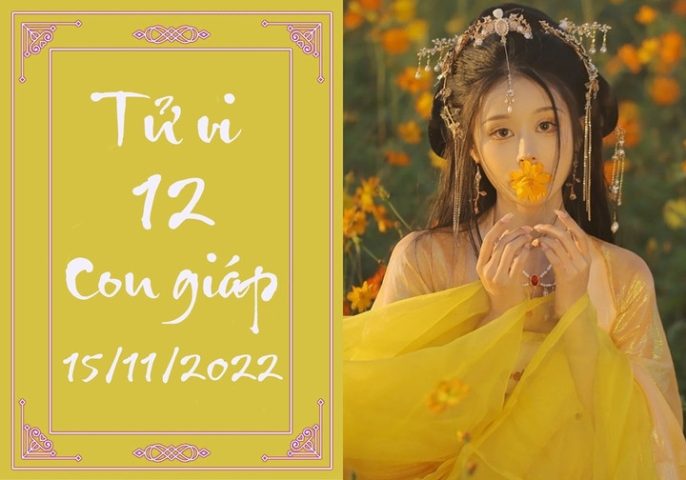 Tử vi ngày 15/11: Dự đoán chi tiết vận trình 12 con giáp hôm nay