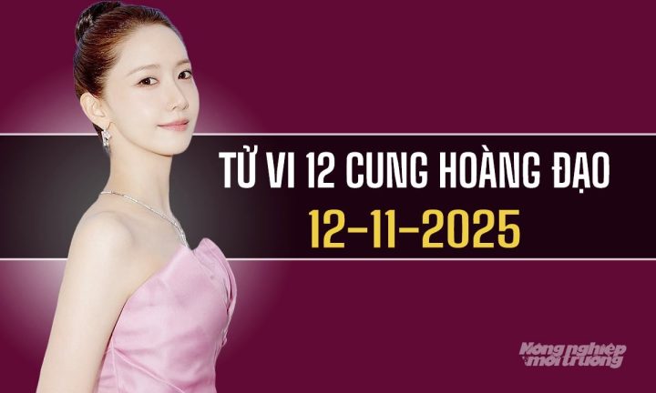 Xem Tử Vi Hôm Nay 12 Cung Hoàng Đạo Chính Xác Nhất